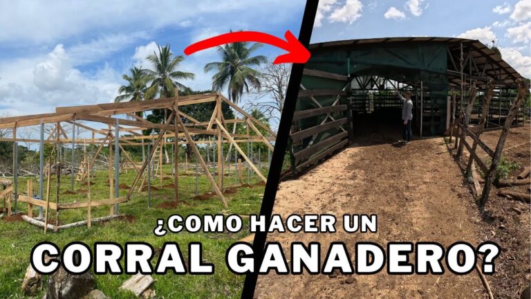 Mejores Zonas para Disfrutar del Ambiente Nocturno en Carral