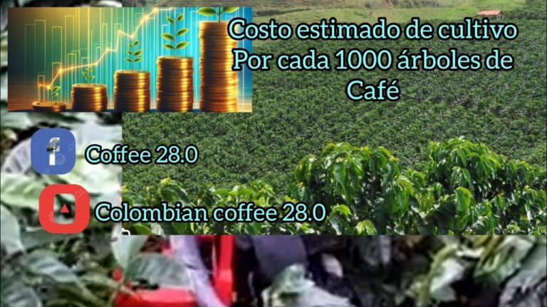 Zonas con Mayor Densidad de &Aacute;rboles en Mi&ntilde;o