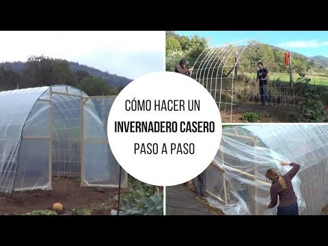 Los Mejores Lugares para Fotograf&iacute;a en Bergondo