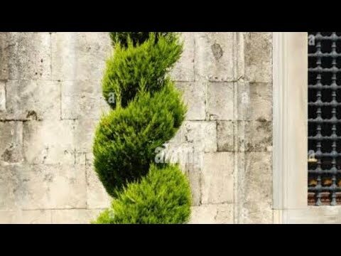 Cursos de Jardiner&iacute;a Disponibles en Arteixo