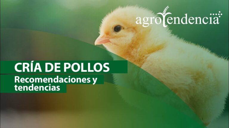Normativas para la Creaci&oacute;n de Empresas en Carral