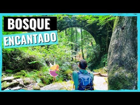 Guía para Alquilar Furgonetas en Oleiros