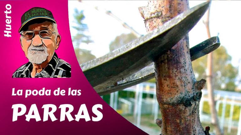 Las zonas verdes m&aacute;s sombreadas de Betanzos