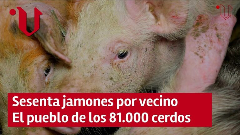 C&oacute;mo obtener el padr&oacute;n municipal en Culleredo